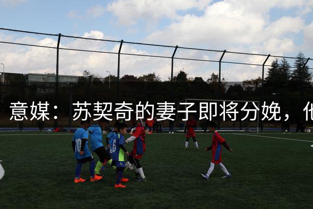 意媒：苏契奇的妻子即将分娩，他离开珀斯训练营返回意大利